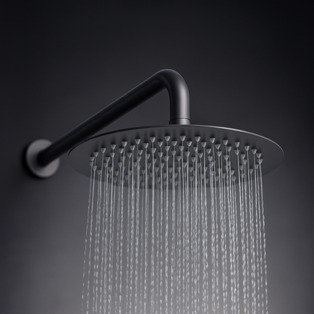 Balneo Cascade model 1 Gun Metal rain shower head