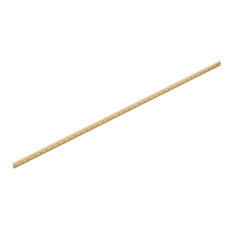 Slope profile Balneo gold for glass left 170 cm