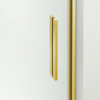 Door shower sliding Balneo Porta – Gold 100 cm